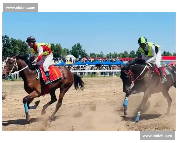 巅峰对决!国内顶级马术赛在邯郸激情开赛 巅峰对决!国内顶级马术赛在邯郸激情开赛